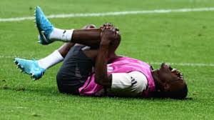 鹿体系的支 鹿体系的支